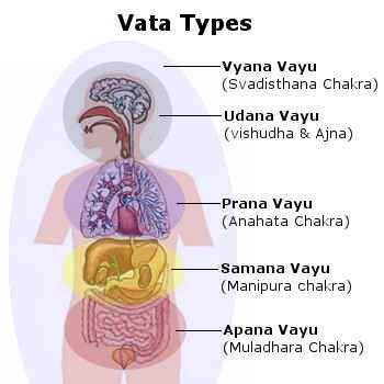 vata-type